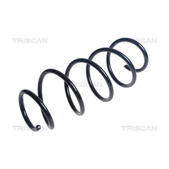 8750 24221 - Coil Spring 