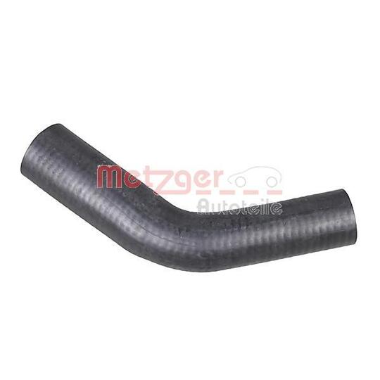 2421105 - Radiator Hose 