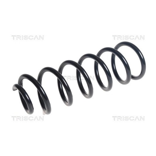 8750 23207 - Coil Spring 