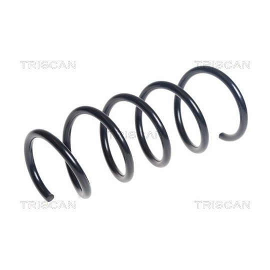 8750 25141 - Coil Spring 