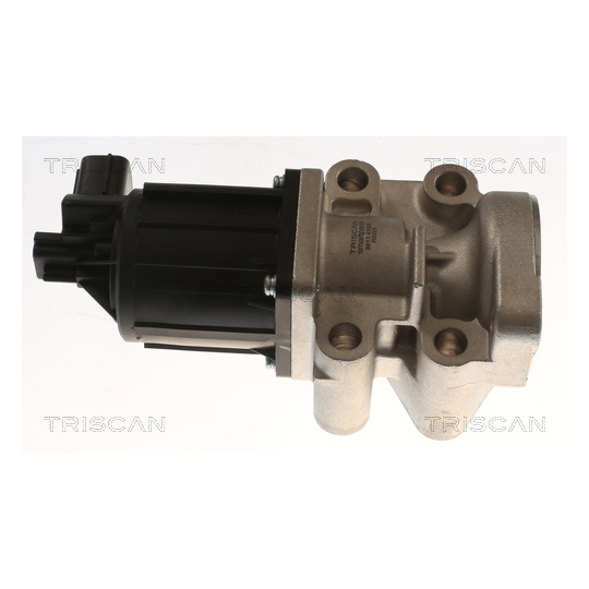 8813 42002 - EGR Valve 