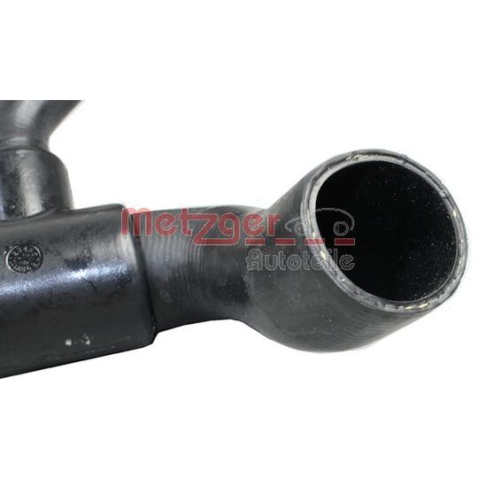 2420904 - Radiator Hose 