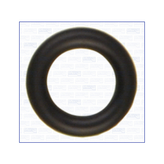 16078600 - O-ring, instrutning 