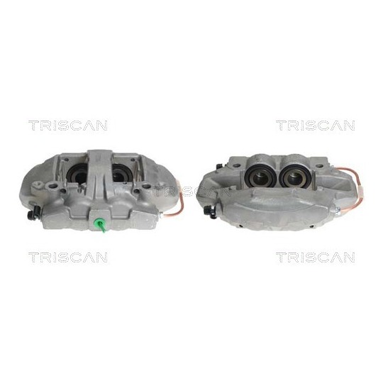 8170 345285 - Jarrusatula 