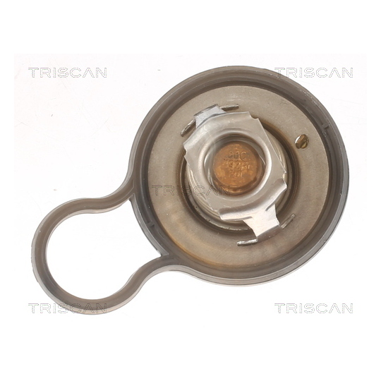 8620 55484 - Thermostat, coolant 