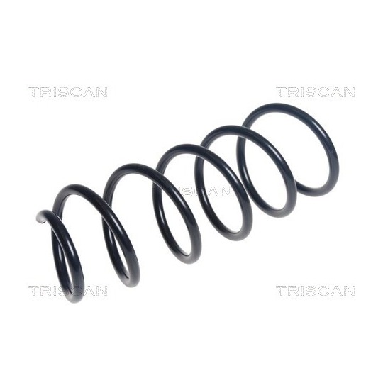 8750 11224 - Coil Spring 