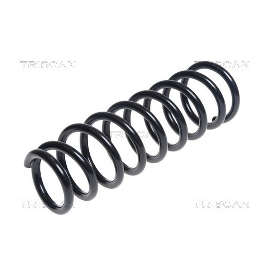 8750 42112 - Coil Spring 