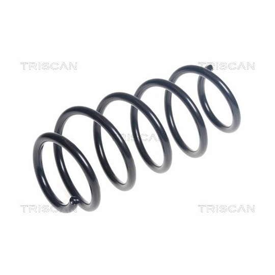 8750 16166 - Coil Spring 