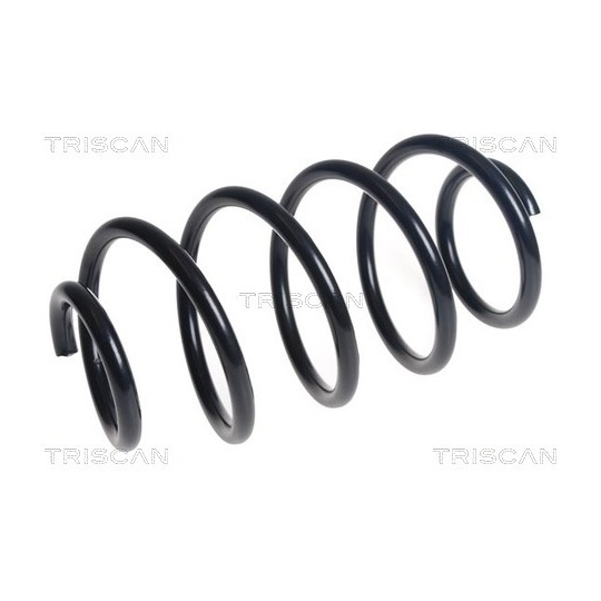 8750 16191 - Coil Spring 