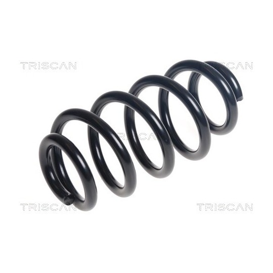 8750 11250 - Coil Spring 