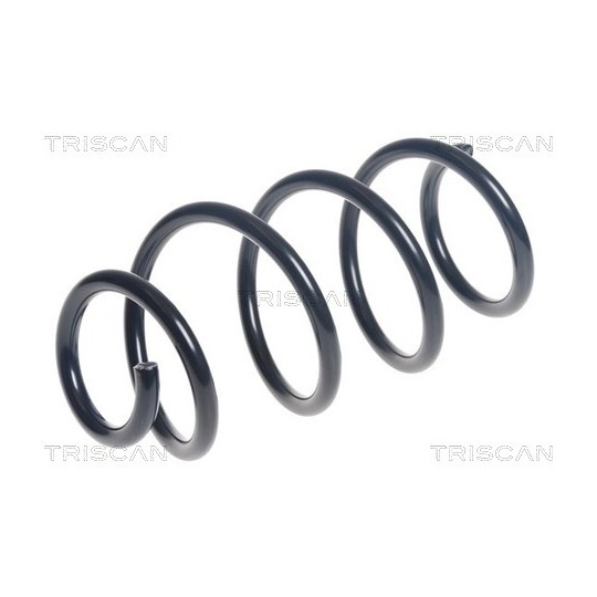 8750 29513 - Coil Spring 