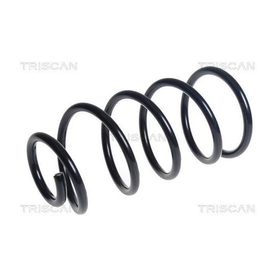 8750 16137 - Coil Spring 