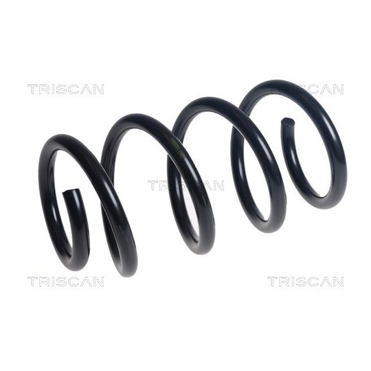 8750 1054 - Coil Spring 