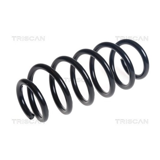 8750 13240 - Coil Spring 