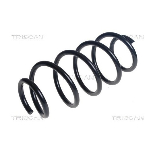 8750 28312 - Coil Spring 