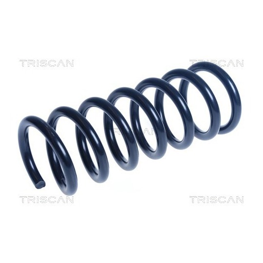 8750 16149 - Coil Spring 