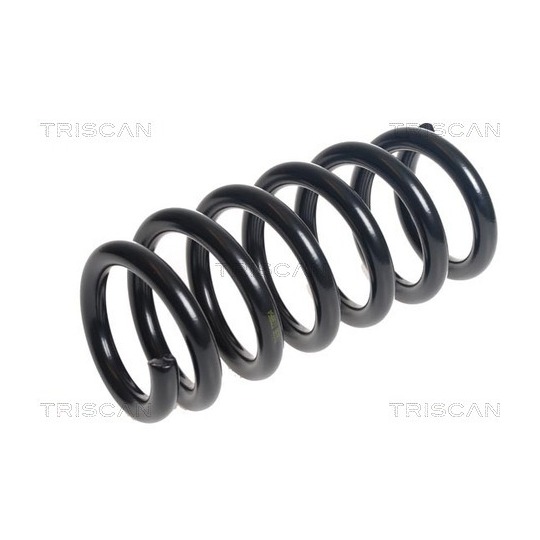 8750 16133 - Coil Spring 