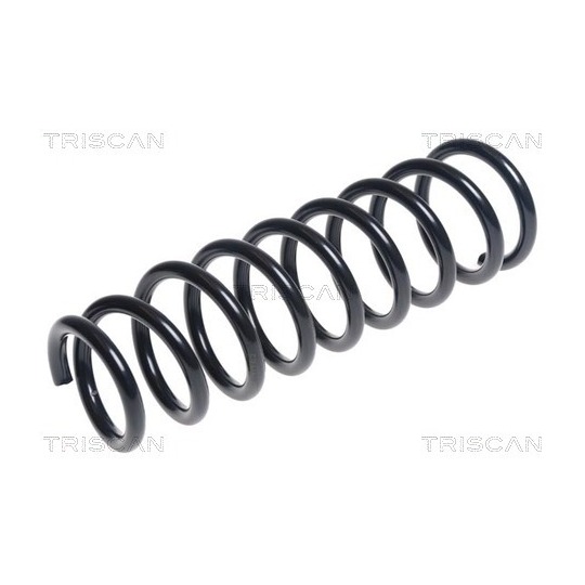 8750 42113 - Coil Spring 