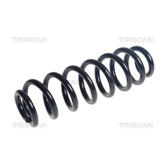 8750 24229 - Coil Spring 