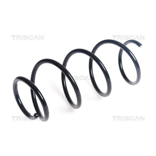 8750 43141 - Coil Spring 