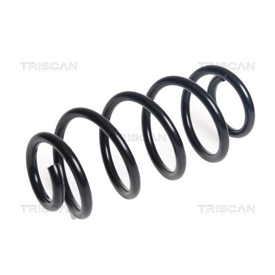 8750 23231 - Coil Spring 