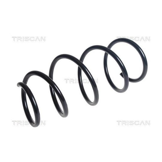 8750 13232 - Coil Spring 