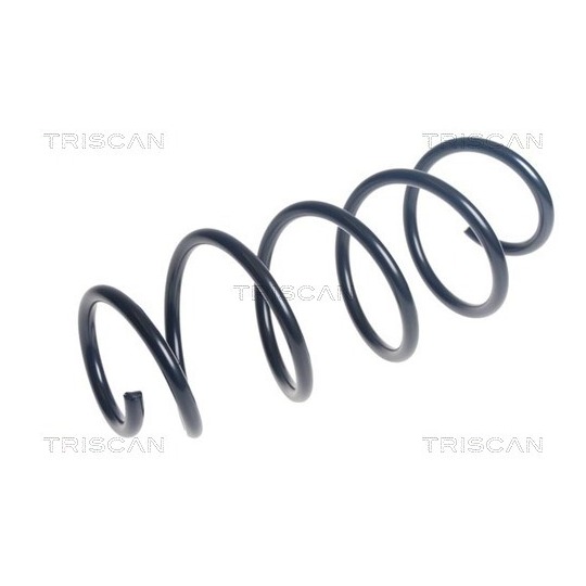 8750 24222 - Coil Spring 