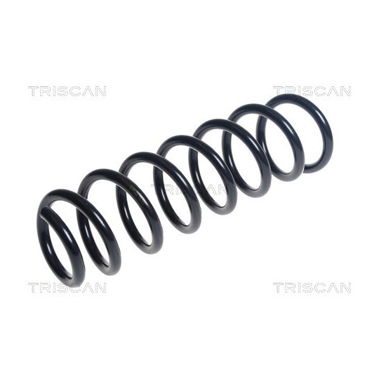 8750 11234 - Coil Spring 