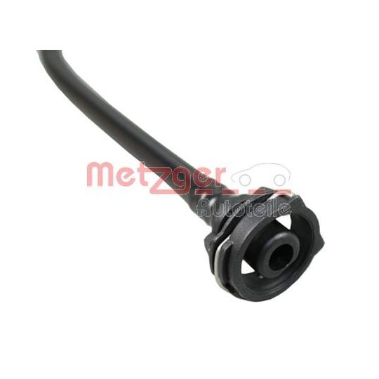 2420901 - Radiator Hose 