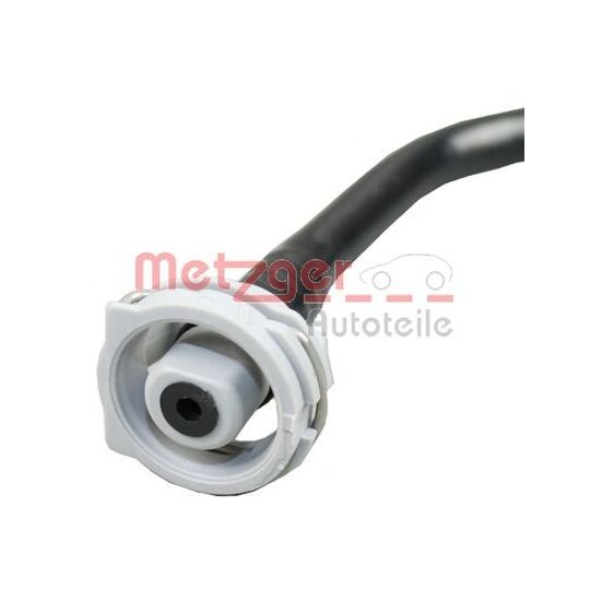 2420901 - Radiator Hose 