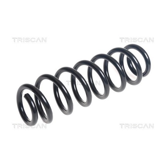 8750 29491 - Coil Spring 