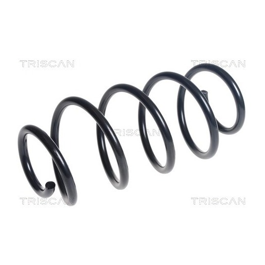 8750 16146 - Coil Spring 