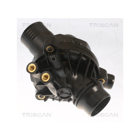 8620 503103 - Thermostat, coolant 