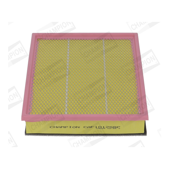 CAF101258P - Air filter 