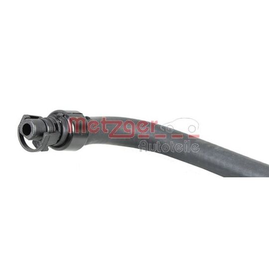 2420135 - Radiator Hose 