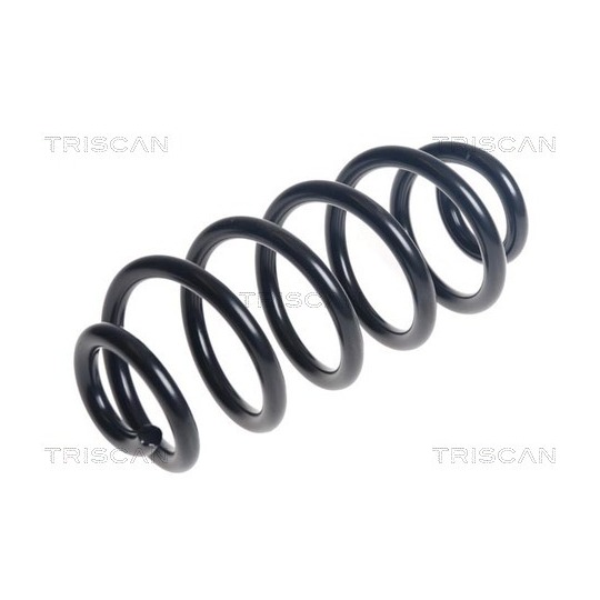 8750 25157 - Coil Spring 