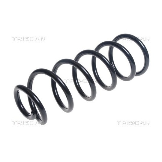 8750 50113 - Coil Spring 