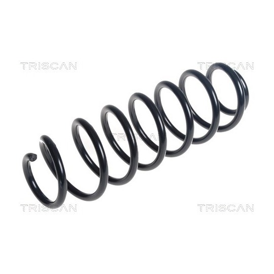 8750 40118 - Coil Spring 