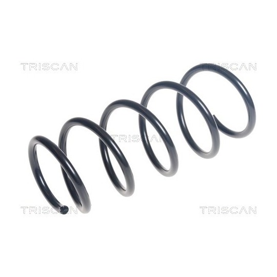 8750 15218 - Coil Spring 