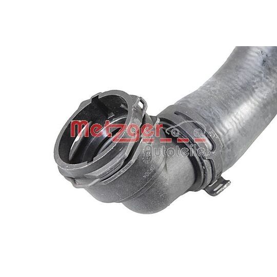 2421255 - Radiator Hose 