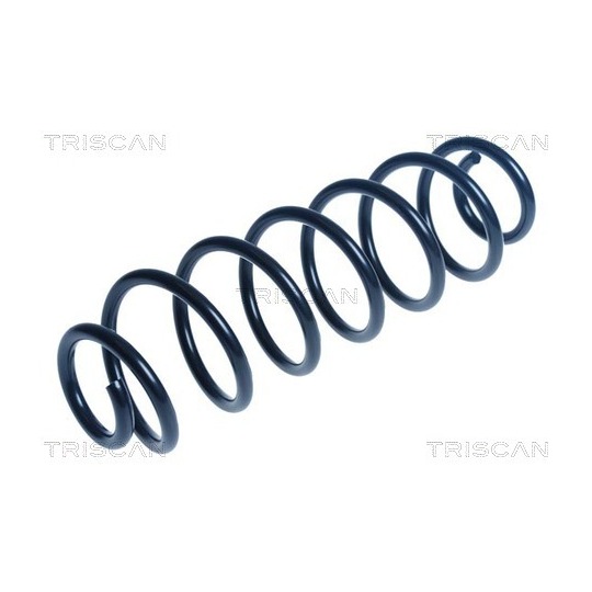 8750 24230 - Coil Spring 