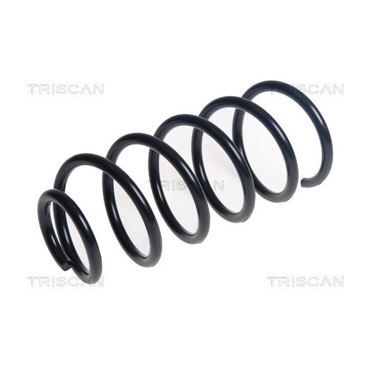 8750 24218 - Coil Spring 