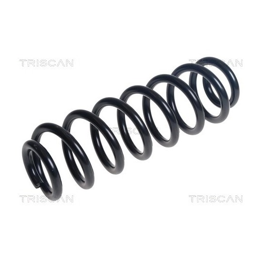 8750 29525 - Coil Spring 