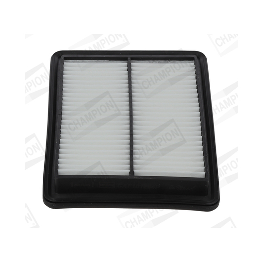 CAF101264P - Air filter 