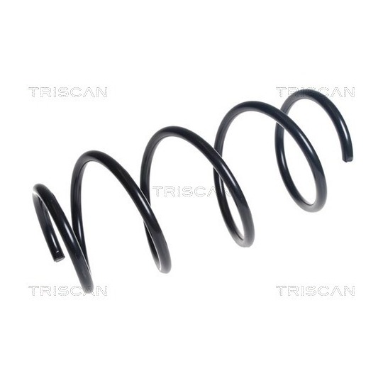 8750 13233 - Coil Spring 