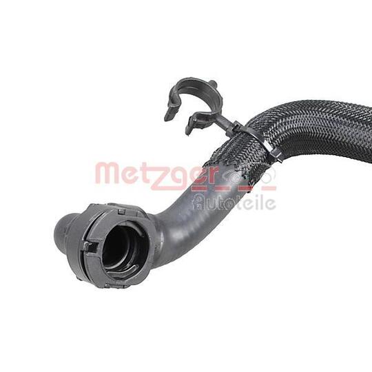 2421155 - Radiator Hose 