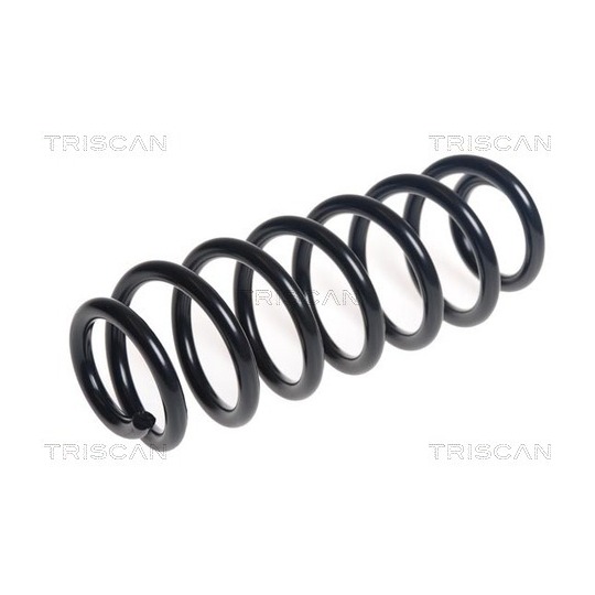 8750 6969 - Coil Spring 