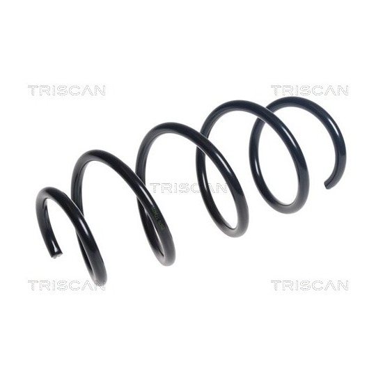 8750 24202 - Coil Spring 