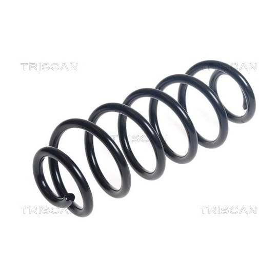 8750 24216 - Coil Spring 