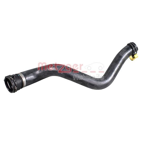 2421616 - Radiator Hose 